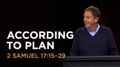 According to Plan