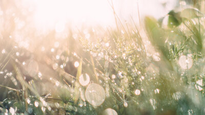 Grace and Peace (Part 1 of 2)
